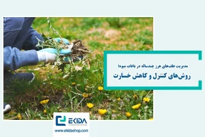 علف هرز باغات