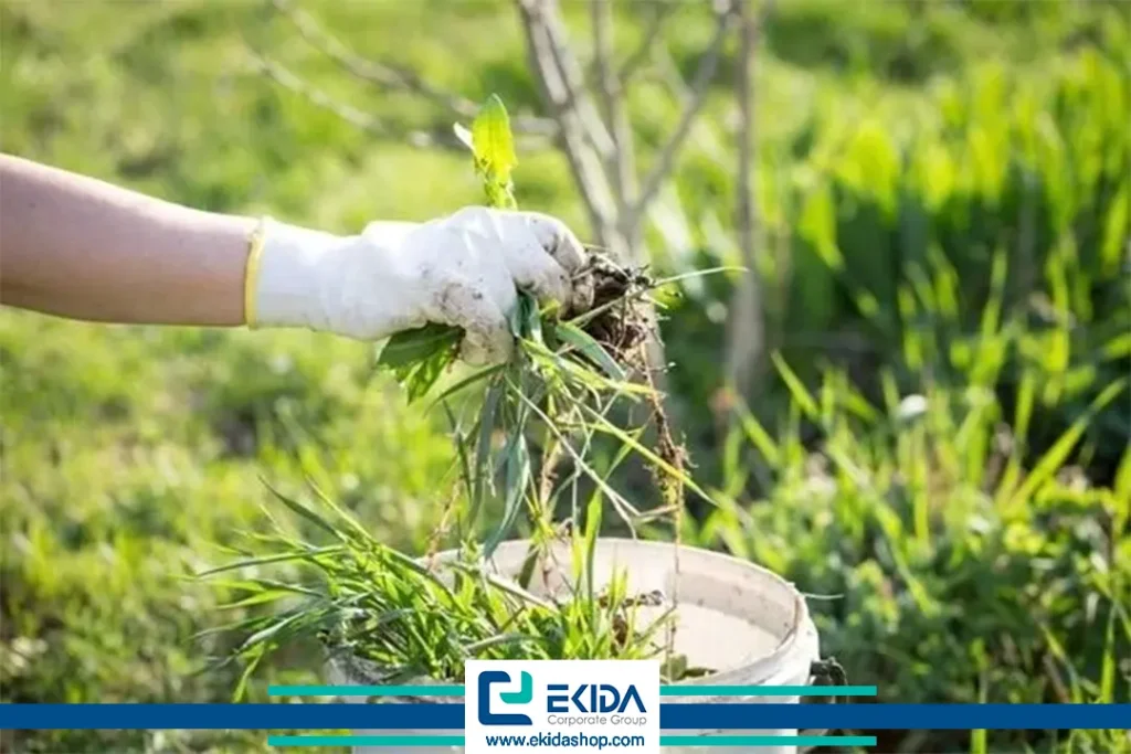 مدیریت علف های هرز