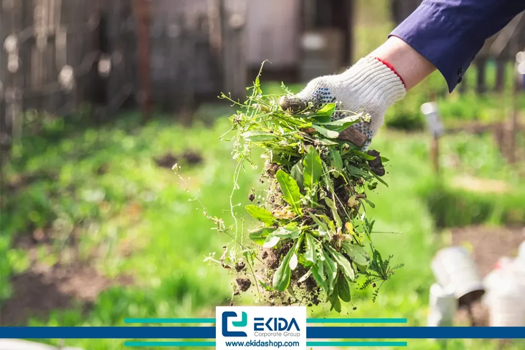 کنترل علف هرز