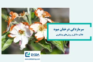 سرمازدگی درختان میوه