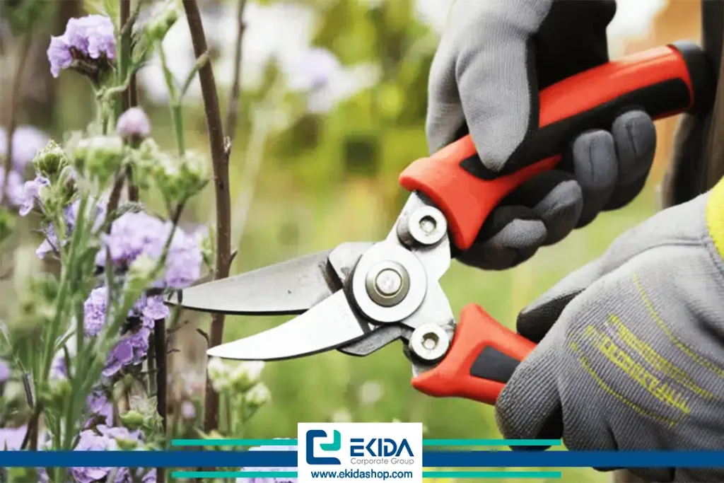 قیچی باغبانی