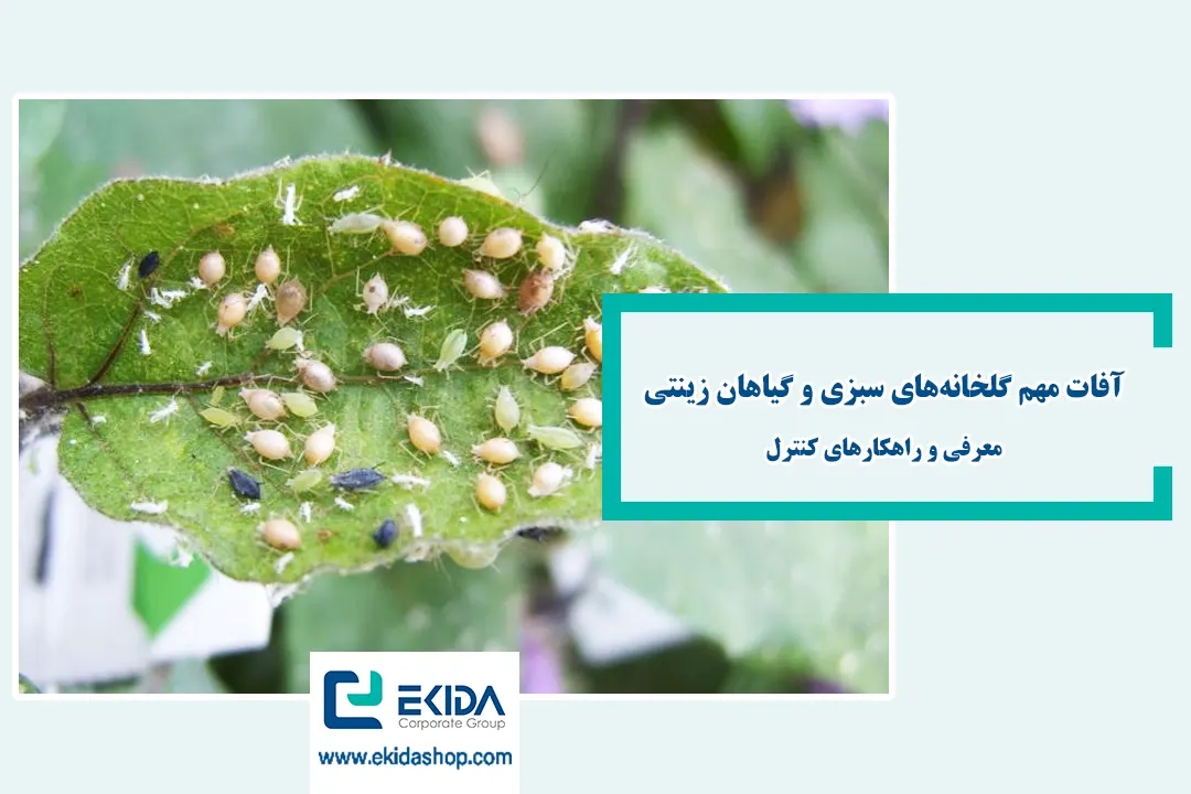 آفات مهم گلخانه