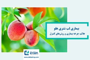 بیماری لب شتری هلو