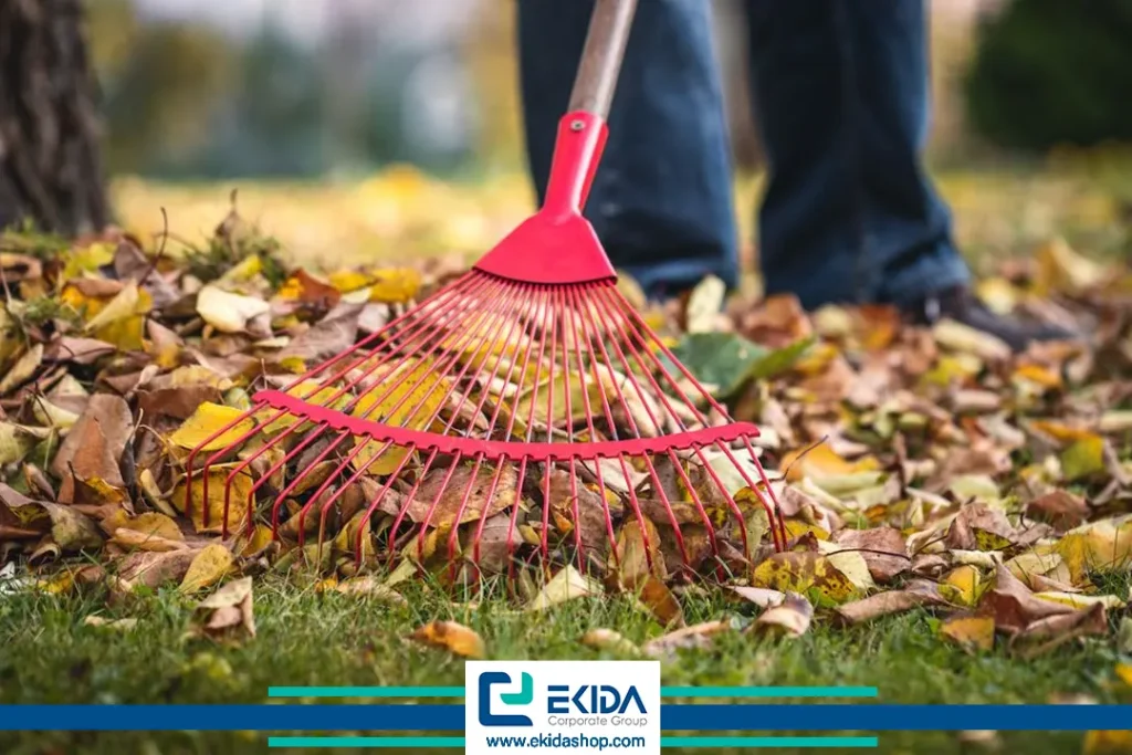 شن‌کش کوچک