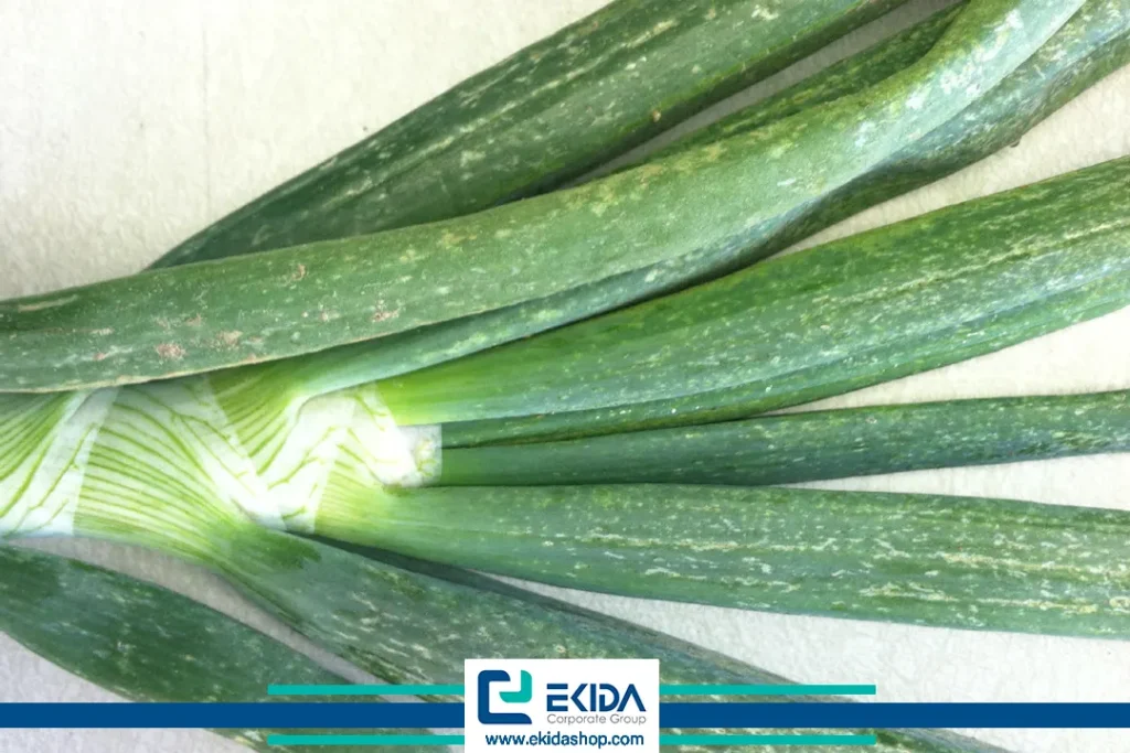 خسارت تریپس