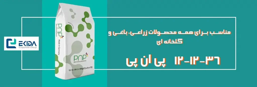 خرید کود 36-12-12 پی ان پی