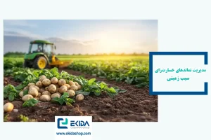 نماتد سیب زمینی