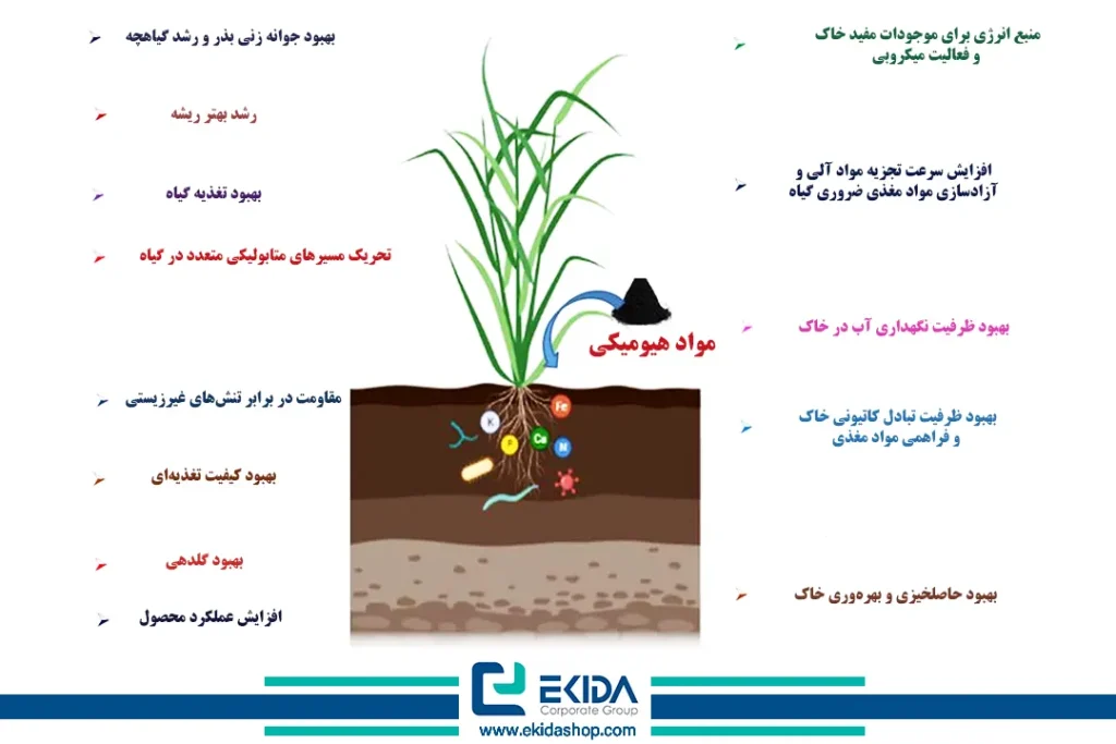 تأثیر مواد هیومیکی بر رشد و نمو گیاه