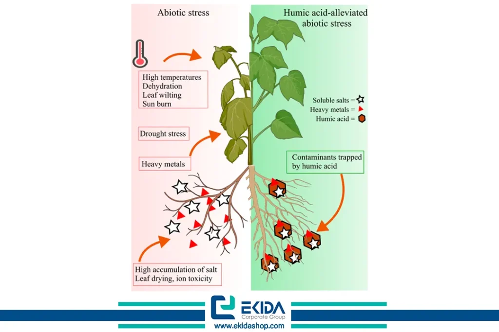 اثرات تنش‌های غیرزیستی مختلف