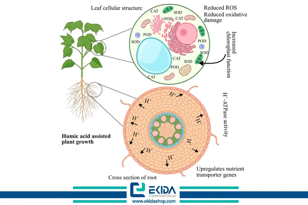 جمع‌آوری ROS با واسطه HA