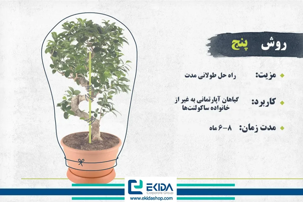 روش پنجم آبیاری