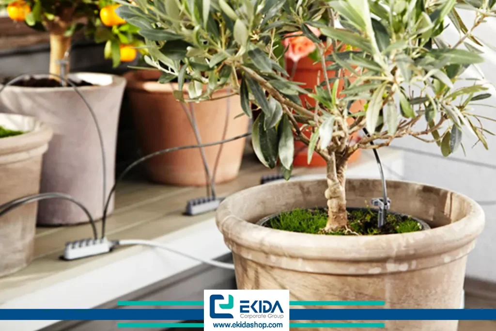 استفاده از آب بانک