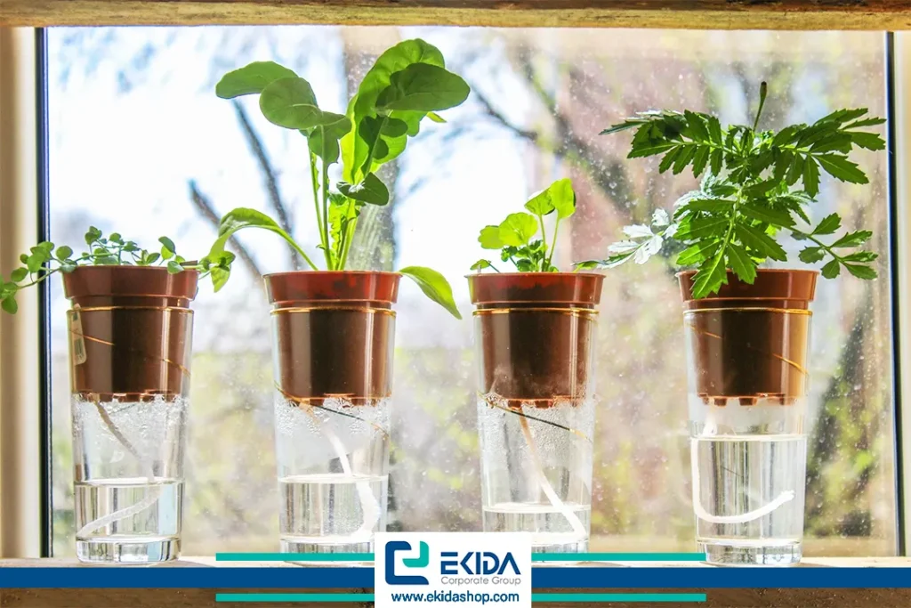 آماده سازی گلدان‌ها برای آبیاری در زمان سفر