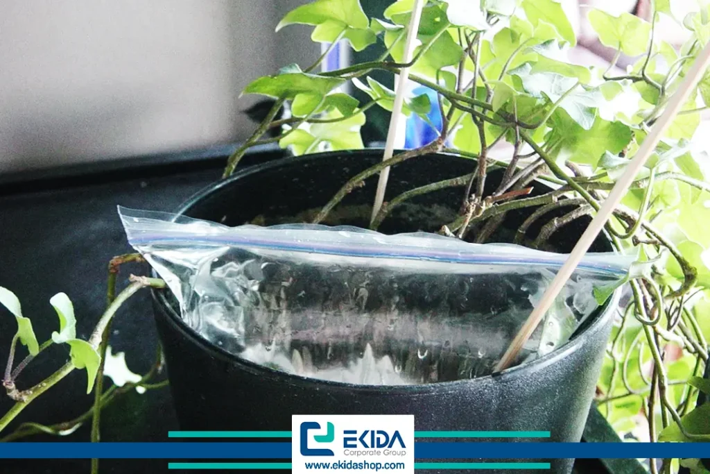 کیسه آب در گلدان