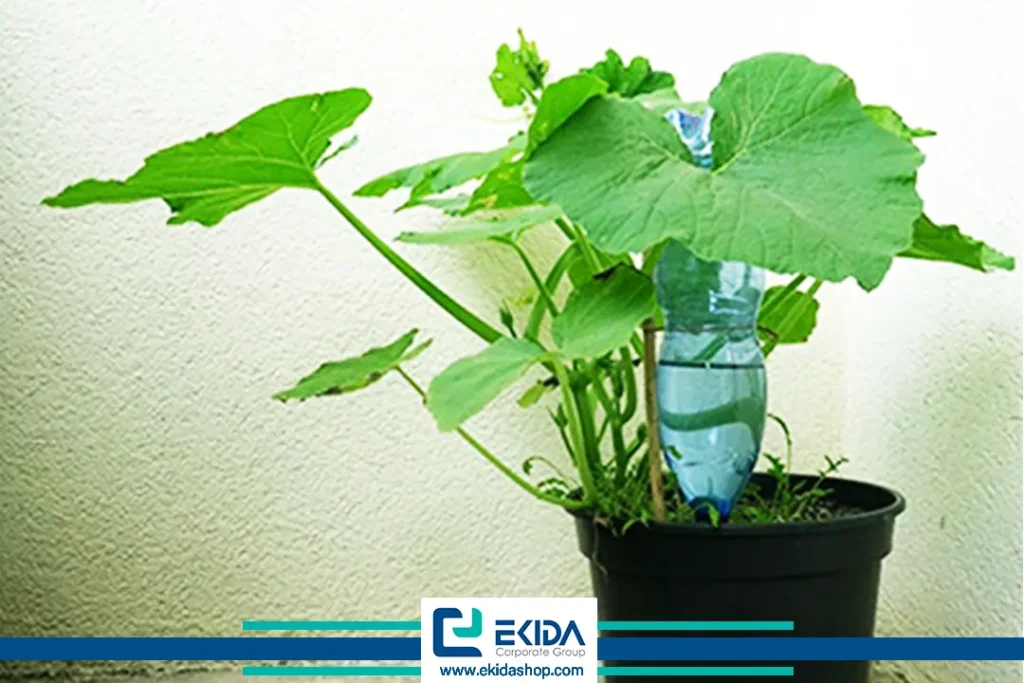 استفاده از بطری آب داخل گلدان