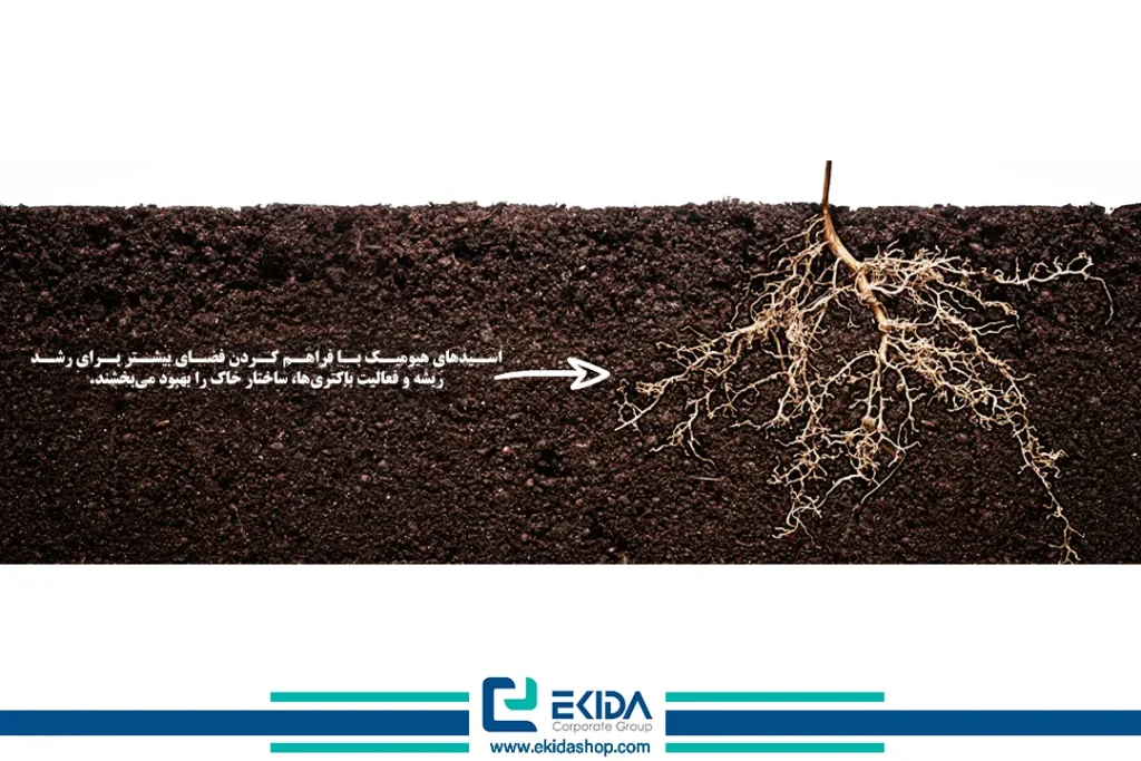 بهبود ساختار خاک با هیومیک اسید