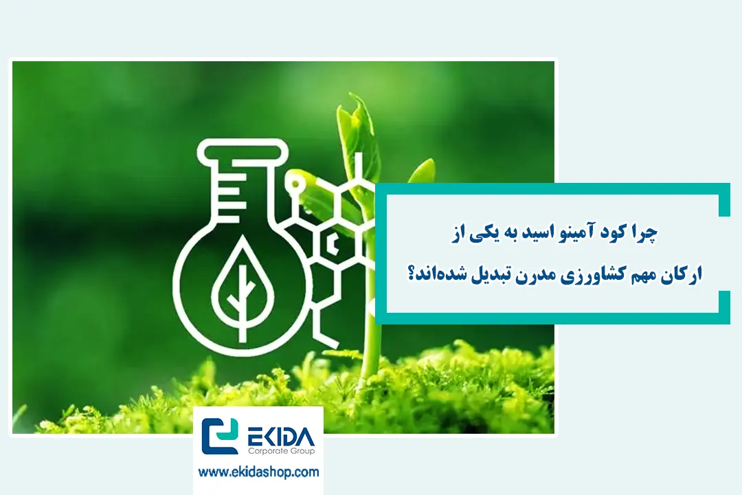 اهمیت استفاده از کودهای اسید آمینه