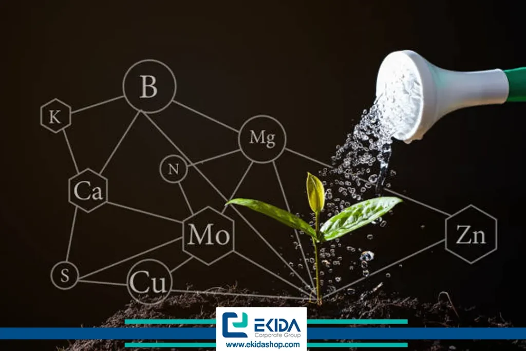 فرمول آمینو اسید