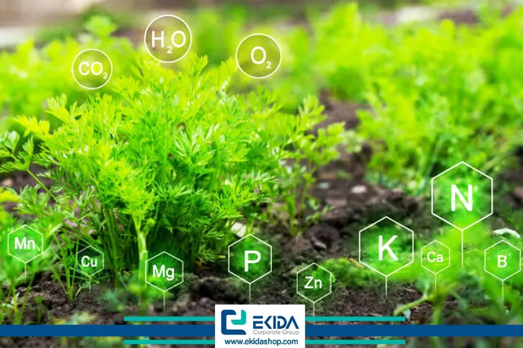 مزایای کود آمینو اسید