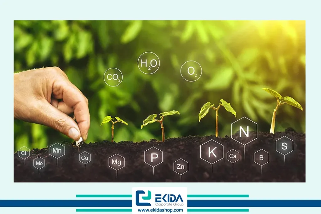 آمینو اسیدها