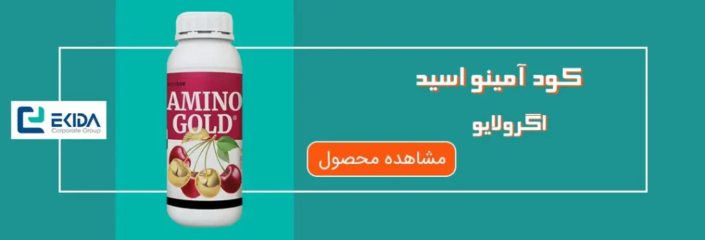 خرید آمینو اسید اگرولایو