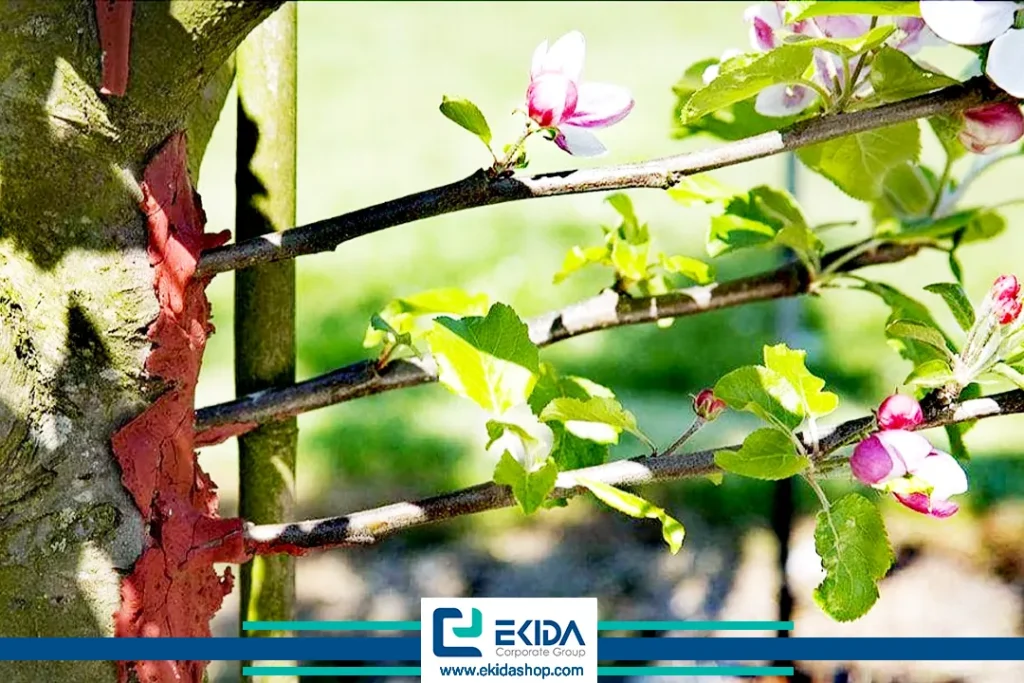 اهمیت چسب باغبانی