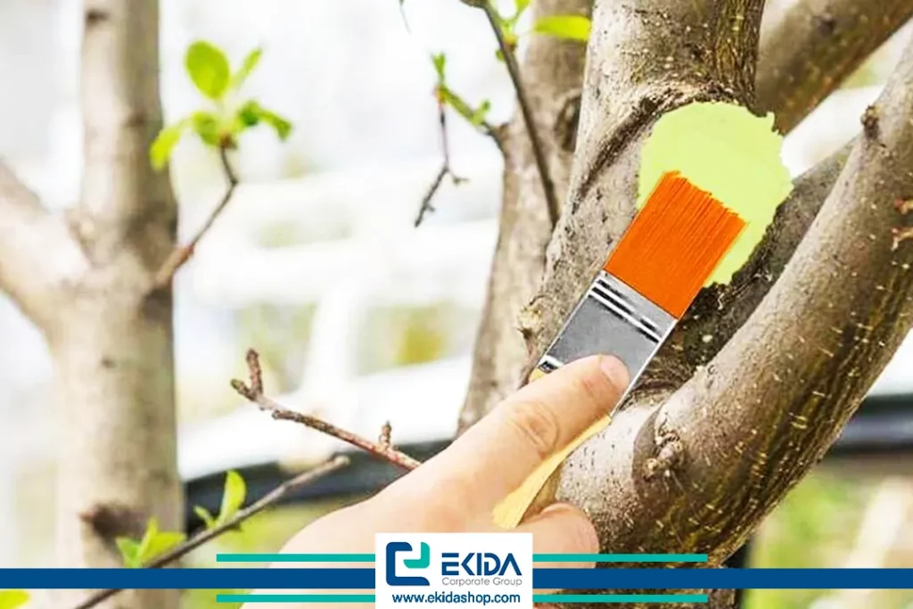 استفاده از چسب باغبانی روی تنه درختان