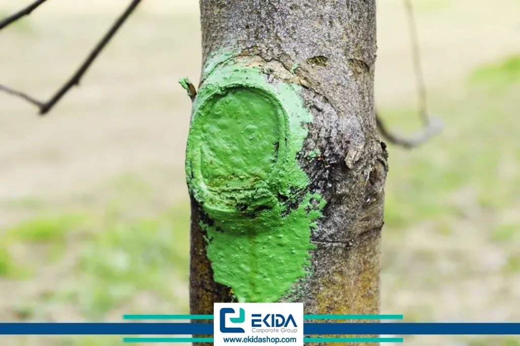 محافظت از تنه درختان با چسب باغبانی