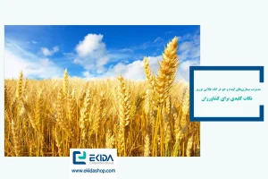 مدیریت بیماری گندم و جو در ایام نوروز