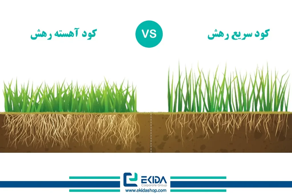 تفاوت کودهای آهسته رهش و سریع رهش