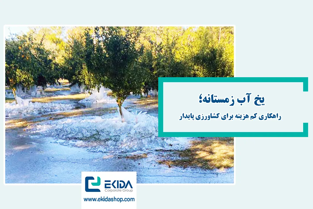 یخ آب زمستانه