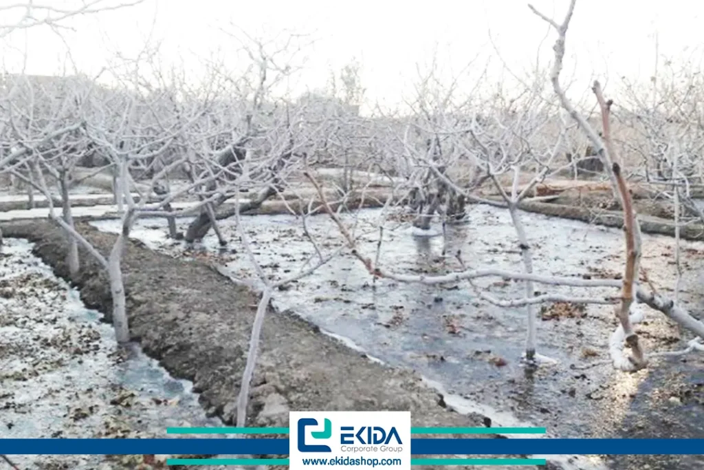 یخ آب در زمستان