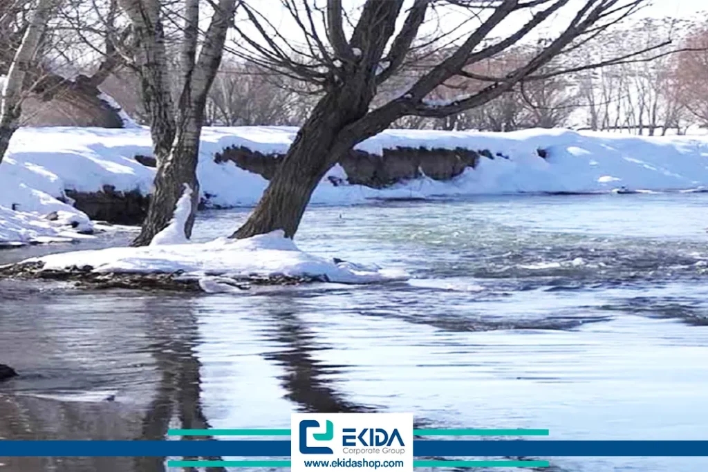 درختان و یخ آب زمستانه
