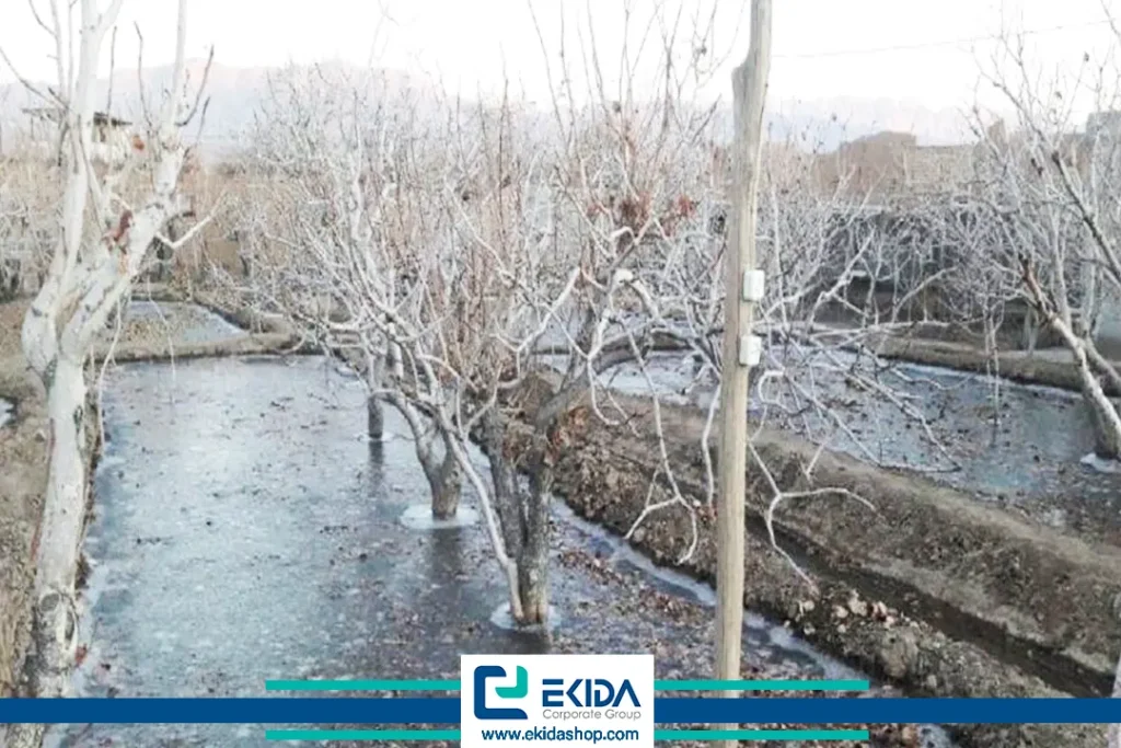 یخ آب درختان در زمستان