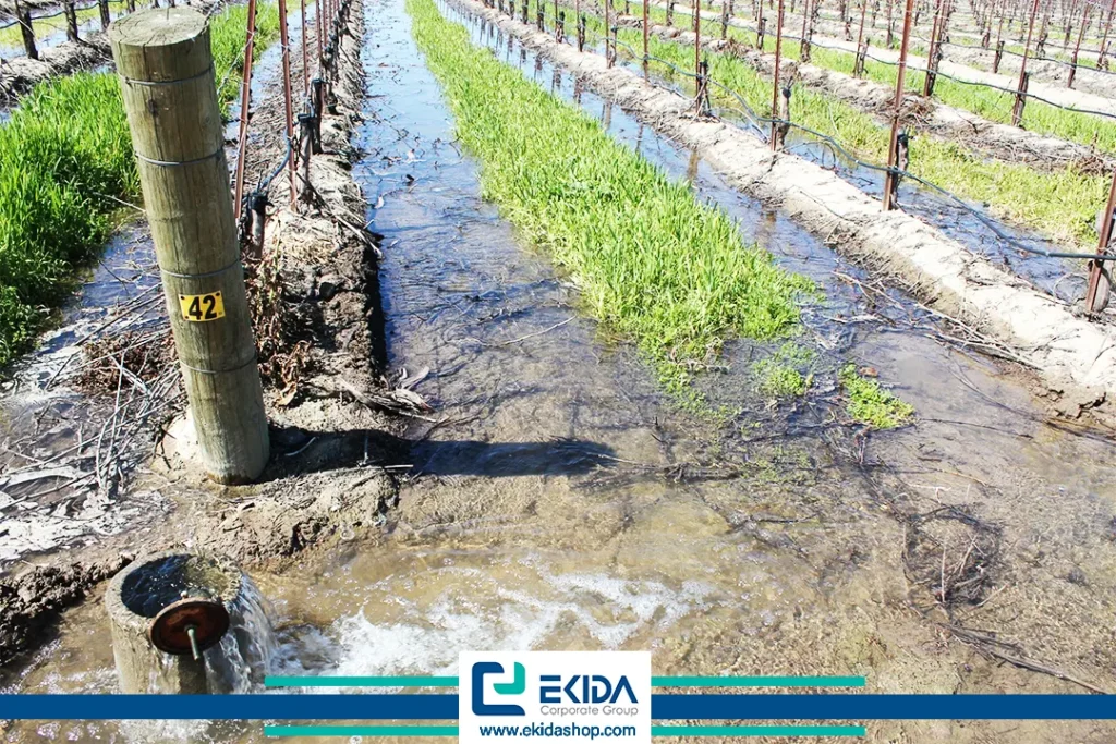 مزایای یخ آب زمستانه