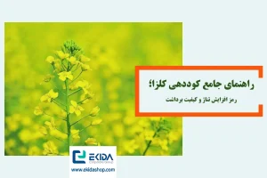 برنامه تغذیه کلزا