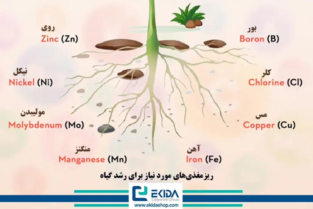 ریزمغذی‌های مورد نیاز گیاه
