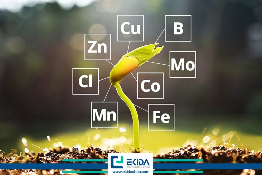 ریزمغذی‌های ضروری گیاه